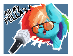 Size: 2600x2000 | Tagged: safe, artist:ronin20181, rainbow dash, pegasus, pony, g4, high res, microphone, solo, sunglasses