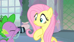 Size: 1920x1080 | Tagged: safe, edit, screencap, sound edit, fluttershy, spike, dragon, pegasus, pony, g4, non-compete clause, animated, camera, camera flash, duo, employee of the month, faic, school of friendship, shrunken pupils, sound, squeans, webm