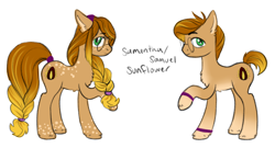 Size: 4000x2155 | Tagged: safe, artist:wtfponytime, oc, oc only, oc:samantha sunflower, oc:samuel sunflower, earth pony, pony, beige, body freckles, body markings, braid, braided tail, chest fluff, ear fluff, ears back, female, freckles, full body, genderfluid, glasses, gradient legs, gradient mane, green eyes, hairband, hoofband, looking at you, male, mare, markings, raised hoof, reference sheet, round glasses, rule 63, side view, simple background, speckled, spotted, stallion, sunflower seed, tail, unshorn fetlocks, white background
