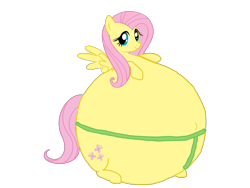 Size: 3264x2448 | Tagged: safe, artist:simonstudio587, fluttershy, pegasus, pony, g4, female, high res, inflation, looking at you, mare, simple background, solo, spherical inflation, spread wings, sumo, transparent background, wings