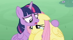 Size: 1232x688 | Tagged: safe, artist:reykatan, fluttershy, twilight sparkle, alicorn, pegasus, pony, fanfic:full friendship's magic, g4, the mean 6, animated, crying, no sound, sad, twilight sparkle (alicorn), webm