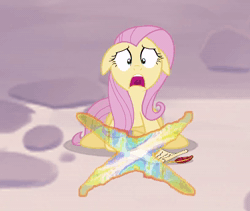 Size: 816x688 | Tagged: safe, fluttershy, pegasus, pony, fanfic:full friendship's magic, g4, animated, no sound, portal, scroll, solo, webm