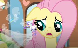 Size: 752x465 | Tagged: safe, screencap, cotton (g4), fluttershy, twirly, breezie, g4, it ain't easy being breezies, cute, diabreezies, female, fluttershy's cottage (interior), mare, solo, unnamed breezie, unnamed character