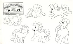 Size: 1600x970 | Tagged: safe, earth pony, pony, g1, official, monochrome, reference sheet, solo, unnamed character, unnamed pony