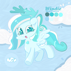 Size: 5000x5000 | Tagged: safe, artist:winstiky, oc, oc only, oc:windie, pegasus, pony, cloud, female, flying, looking at you, mare, open mouth, open smile, pegasus oc, reference sheet, smiling, solo, spread wings, tail, underhoof, wings