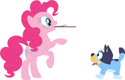 Size: 3573x2297 | Tagged: safe, artist:porygon2z, pinkie pie, dog, earth pony, pony, g4, australian cattle dog, bluey, bluey heeler, crossover, cute, diapinkes, duo, duo female, female, fetch, high res, mare, simple background, stick, tongue out, transparent background