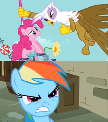 Size: 549x618 | Tagged: safe, edit, screencap, gilda, pinkie pie, rainbow dash, earth pony, griffon, pegasus, pony, g4, griffon the brush off, season 1, angry, bully, bullying, female, gritted teeth, imminent fight, imminent pain, reaction image, teeth