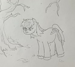 Size: 1291x1158 | Tagged: safe, artist:pony quarantine, oc, oc only, oc:snow sitter, earth pony, pony, yakutian horse, annoyed, female, grayscale, looking at something, looking down, mare, monochrome, pencil drawing, snow, solo, traditional art
