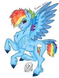 Size: 768x1024 | Tagged: safe, artist:pw-jkg-cherrys, rainbow dash, pegasus, pony, g4, female, simple background, solo, spread wings, white background, wings