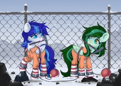 Size: 2048x1463 | Tagged: safe, artist:shelti, oc, oc only, oc:eden shallowleaf, oc:snowflake flower, pegasus, ball and chain, belt, clothes, commissioner:rainbowdash69, cuffed, cuffs, duo, fence, jumpsuit, never doubt rainbowdash69's involvement, ornament, pegasus oc, prison outfit, shackles, snow, winter