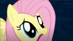 Size: 1920x1080 | Tagged: safe, artist:mobrosstudios, fluttershy, pegasus, g4, 2013, female, shocked, skellington's revenge, solo, youtube link, youtube poop