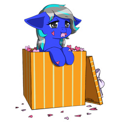 Size: 2000x2000 | Tagged: safe, artist:erein, oc, oc only, oc:star shine, pegasus, pony, bedroom eyes, box, christmas, colored, commission, cute, ears back, female, flat colors, gray eyes, happy, heart, high res, holiday, mouth hold, multicolored hair, pegasus oc, pony in a box, present, simple background, smiling, solo, white background