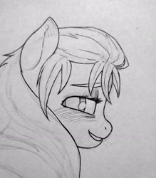 Size: 3072x3510 | Tagged: safe, artist:public mistake, sunny starscout, earth pony, pony, g5, aside glance, blushing, female, gray background, grayscale, grin, high res, looking at you, mare, monochrome, palindrome get, profile, simple background, smiling, smiling at you, solo, traditional art, wip