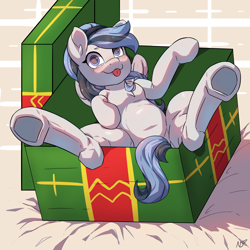 Size: 4000x4000 | Tagged: safe, artist:nanazdina, oc, oc only, oc:haze northfleet, pony, belly, box, chubby, commission, pony in a box, round belly, solo, tongue out, ych result