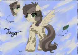 Size: 1063x752 | Tagged: safe, oc, oc:tayer, pegasus, pony, art trade, mixed media, reference sheet, solo