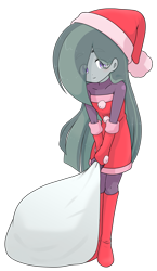 Size: 1269x2187 | Tagged: safe, alternate version, artist:batipin, part of a set, marble pie, human, equestria girls, g4, christmas, clothes, costume, equestria girls-ified, eyebrows, eyebrows visible through hair, gloves, hat, holiday, looking at you, santa costume, santa hat, santa sack, simple background, transparent background