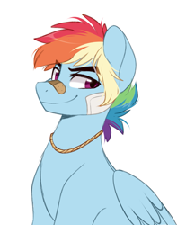 Size: 747x903 | Tagged: safe, artist:higglytownhero, rainbow dash, pegasus, pony, g4, bandage, bandaid, bandaid on nose, bust, feathered wings, female to male, folded wings, jewelry, looking at you, male, necklace, pegasus wings, portrait, rainbow blitz, rule 63, scar, simple background, smiling, smiling at you, solo, stallion, white background, wings