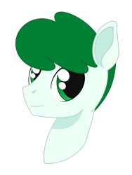 Size: 900x1200 | Tagged: safe, artist:dyonys, oc, oc:mintfeather, pegasus, pony, bust, male, portrait, smiling, solo, stallion