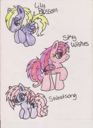 Size: 900x1236 | Tagged: safe, artist:razzle-the-dazzle, lily blossom, skywishes (g4), sweetsong (g4), pegasus, g4, 2012, anatomically incorrect, backwards wings, blind bag pony, blue eyes, closed mouth, eyeshadow, female, flying, folded wings, green eyes, incorrect leg anatomy, lidded eyes, magenta eyes, makeup, mare, raised hoof, simple background, smiling, standing, traditional art, trio, white background, wings
