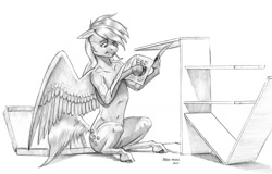 Size: 1500x961 | Tagged: safe, artist:baron engel, derpy hooves, pegasus, semi-anthro, g4, allen wrench, arm hooves, belly, belly button, female, fit, mare, monochrome, pencil drawing, ribcage, shading, slender, solo, thin, traditional art