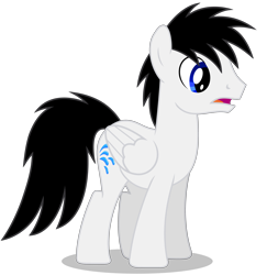 Size: 4228x4341 | Tagged: safe, artist:creedyboy124, oc, oc only, oc:shane park, pegasus, pony, g4, male, simple background, solo, stallion, transparent background