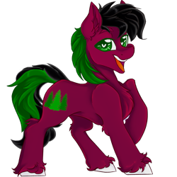 Size: 2001x2000 | Tagged: safe, artist:dankpegasista, oc, oc only, oc:red cedar, earth pony, pony, 2024 community collab, derpibooru community collaboration, bangs, big eyes, big smile, black mane, chest fluff, colored lineart, concave belly, ear fluff, eyebrows, fit, full body, fully shaded, green eyes, green mane, heart, heart eyes, high res, highlights, krita, long tail, looking at you, male, open mouth, png, posing for photo, raised hoof, raised leg, red coat, shiny mane, simple background, slender, smiling, smiling at you, solo, stallion, sternocleidomastoid, tail, teeth, thin, three quarter view, transparent background, unshorn fetlocks, wingding eyes