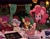 Size: 2048x1583 | Tagged: safe, artist:darkdoubloon, apple bloom, pinkie pie, scootaloo, sweetie belle, earth pony, pegasus, pony, unicorn, g4, adorabloom, batter, bow, bowl, christmas, christmas sweater, christmas tree, clothes, cute, cutealoo, cutie mark crusaders, diapinkes, diasweetes, female, filly, foal, food, gingerbread (food), hair bow, hat, hearth's warming, holiday, implied rarity, implied twilight sparkle, mare, mixer, open mouth, salt shaker, santa hat, smiling, snow, sweater, tongue out, tree, winter