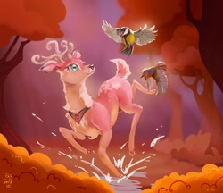 Size: 1928x1668 | Tagged: safe, artist:laymy, fluttershy, bird, deer, collaboration:bestiary of fluttershy, g4, collaboration, deerified, doe, element of kindness, female, flutterdeer, forest, looking up, nature, signature, smiling, solo, species swap, splashing, tree