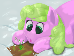 Size: 1697x1284 | Tagged: safe, artist:frilanka, daisy, flower wishes, earth pony, pony, g4, :o, dappled sunlight, female, flower, lying down, mare, open mouth, prone, snow, solo, surprised, winter