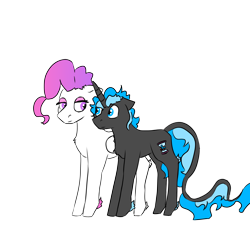 Size: 5000x5000 | Tagged: safe, artist:hrabiadeblacksky, oc, oc only, oc:hrabia de black sky, oc:miltti, pegasus, pony, unicorn, blue eyes, duo