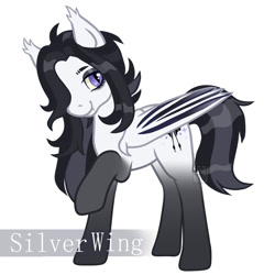Size: 2000x2000 | Tagged: safe, artist:lominator, oc, oc only, bat, bat pony, pegasus, pony, bat pony oc, commission, high res, request, simple background, solo, white background
