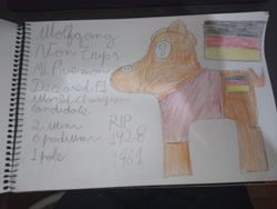 Size: 4000x3000 | Tagged: safe, artist:super-coyote1804, pony, clothes, flag, formula 1, germany, irl, photo, solo, traditional art, wolfgang von trips, writing