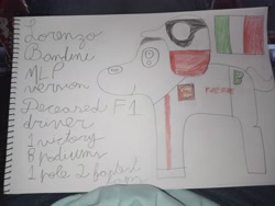 Size: 4000x3000 | Tagged: safe, artist:super-coyote1804, pony, clothes, flag, formula 1, italy, lorenzo bandini, photo, solo, traditional art, writing