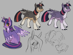 Size: 2048x1536 | Tagged: safe, artist:flightless-fox, fluttershy, twilight sparkle, alicorn, bird, eagle, pegasus, pony, rabbit, g4, alternate design, animal, chest fluff, claws, clothes, colored horn, ear fluff, female, folded wings, gray background, horn, looking back, mare, partially open wings, raised hoof, simple background, sitting, sketch, socks, striped wings, twilight sparkle (alicorn), wings