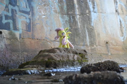 Size: 4928x3264 | Tagged: safe, artist:onlyfactory, photographer:misterdogg, fluttershy, bat pony, pony, g4, australia, bat ponified, bootleg, creek, flutterbat, irl, lithgow, photo, plushie, race swap, rock, solo, water