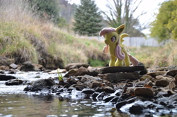 Size: 4928x3264 | Tagged: safe, artist:onlyfactory, photographer:misterdogg, fluttershy, bat pony, g4, australia, bat ponified, bootleg, creek, flutterbat, irl, lithgow, photo, plushie, race swap, rock, solo, water