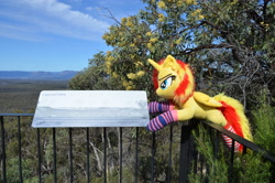 Size: 4928x3264 | Tagged: safe, artist:ponimalion, photographer:misterdogg, sunset shimmer, alicorn, pony, g4, alicornified, australia, capertee, capertee valley, clothes, ear fluff, fence, irl, photo, plushie, race swap, sign, socks, striped socks, tail, tail fluff