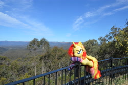 Size: 4928x3264 | Tagged: safe, artist:ponimalion, photographer:misterdogg, sunset shimmer, alicorn, pony, g4, alicornified, australia, capertee, capertee valley, clothes, ear fluff, fence, irl, photo, plushie, race swap, socks, striped socks, tail, tail fluff