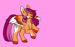 Size: 800x500 | Tagged: safe, artist:diurnalcritters, oc, oc only, oc:summer rain, pegasus, pony, colored wings, female, mare, multicolored wings, pink background, simple background, solo, wings