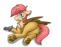 Size: 5119x3899 | Tagged: safe, artist:pzkratzer, oc, oc only, oc:ponygriff, hippogriff, ponygriff, butt, featureless crotch, hippogriff oc, looking at you, lying down, male, paws, plot, sexy, simple background, solo, white background