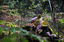 Size: 1097x728 | Tagged: safe, artist:mgrdash, fluttershy, bat pony, pony, g4, bat ponified, flutterbat, forest, irl, nature, photo, plushie, ponies in real life, race swap, solo, tree