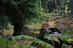 Size: 1095x730 | Tagged: safe, artist:mgrdash, bat pony, pony, forest, irl, nature, photo, plushie, ponies in real life, solo, tree