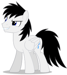 Size: 4680x5271 | Tagged: safe, artist:creedyboy124, oc, oc only, oc:shane park, pegasus, pony, g4, male, simple background, smiling, solo, stallion, transparent background, vector