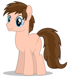 Size: 4274x4749 | Tagged: safe, artist:creedyboy124, oc, oc only, oc:braden, earth pony, pony, g4, male, simple background, smiling, solo, stallion, transparent background, vector