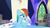 Size: 1280x720 | Tagged: safe, screencap, rainbow dash, pegasus, pony, g4, shadow play, book, cutie map, solo, twilight's castle