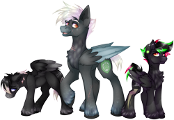 Size: 2856x1971 | Tagged: safe, artist:chvrchgrim, oc, oc only, oc:cardinal, oc:krypt, oc:sooty snow, pegasus, pony, annoyed, blaze (coat marking), chest fluff, coat markings, colored wings, dappled, ear piercing, emo, facial markings, father and child, father and son, height difference, kids, male, multicolored hair, pegasus oc, piercing, raised hoof, sad, simple background, smiling, socks (coat markings), transparent background, two toned wings, unshorn fetlocks, wings