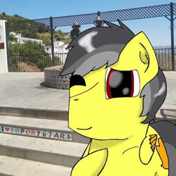 Size: 350x350 | Tagged: safe, artist:foxfer64_yt, oc, oc only, oc:thunder (fl), pegasus, pony, city, cute, male, one eye closed, photo, solo, stallion, wink