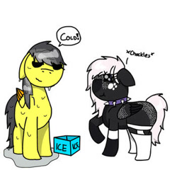 Size: 350x350 | Tagged: safe, artist:foxfer64_yt, oc, oc only, oc:onyxstar (fl), oc:thunder (fl), pegasus, pony, bucket, chuckle, duo, ears back, eyes closed, female, ice bucket challenge, male, mare, oc x oc, redraw, shipping, stallion, water