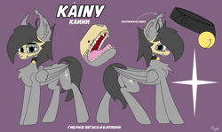 Size: 6707x4000 | Tagged: safe, artist:kainy, oc, oc:kainy, pony, bell, bell collar, chest fluff, collar, cyrillic, fangs, looking at you, open mouth, reference sheet, skull, skull mask, solo