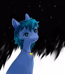 Size: 3500x4000 | Tagged: safe, artist:sivelu, oc, oc only, earth pony, pony, ear fluff, jewelry, male, necklace, solo, stallion, stars